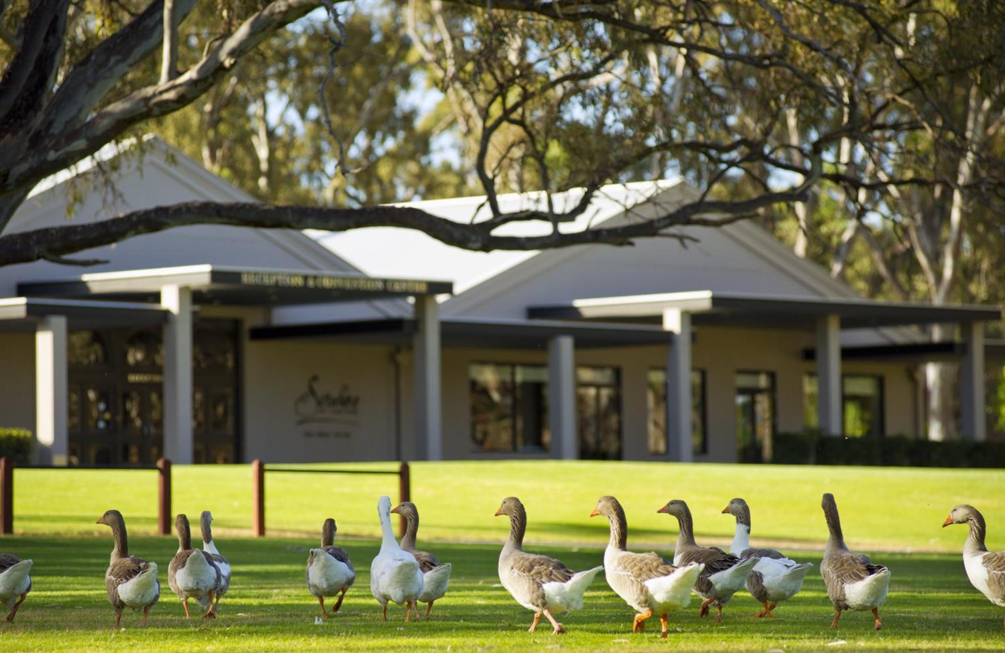 Serafino Mclaren Vale Bagian luar foto