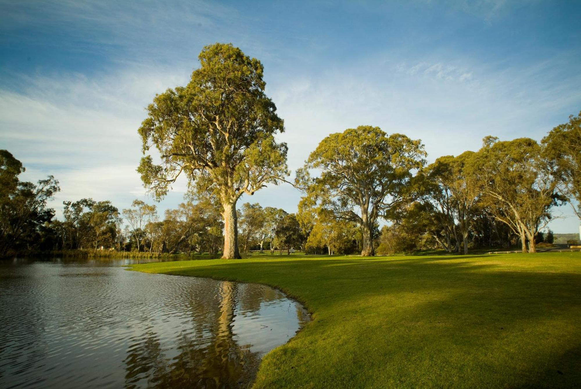 Serafino Mclaren Vale Bagian luar foto