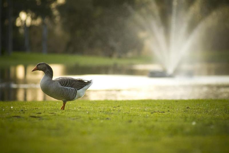 Serafino Mclaren Vale Bagian luar foto